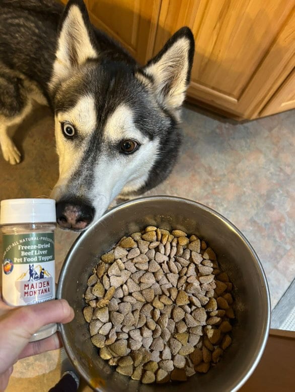 Freeze-Dried Beef Liver Pet Food Topper | 2.5 oz