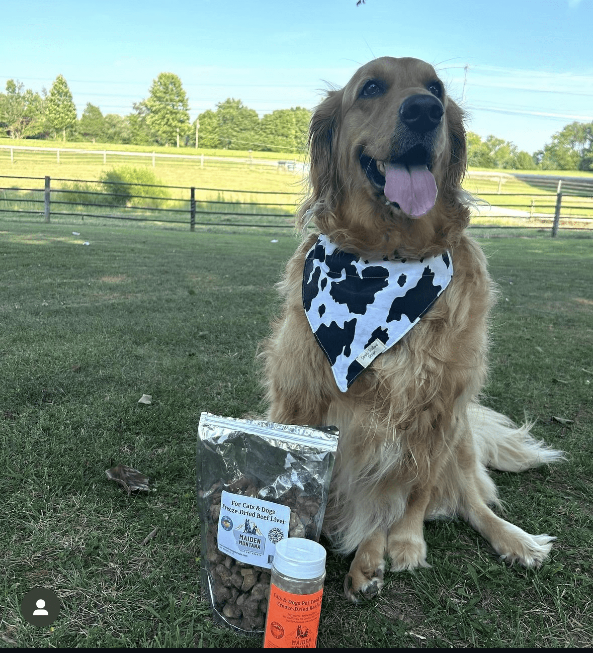 Freeze Dried Beef Liver Treats | Maiden Montana Pet Treats