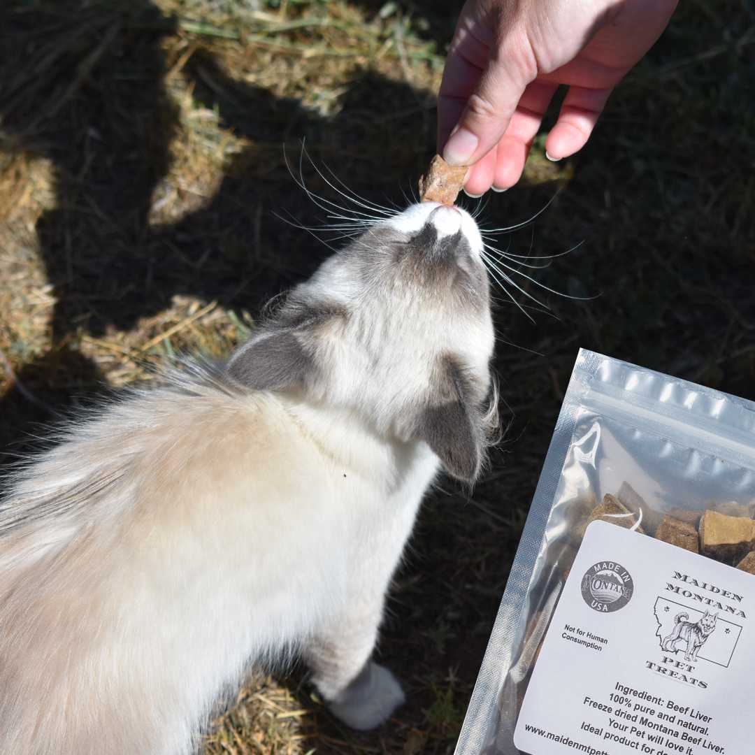 Cats enjoying Maiden Montana Pet Treats