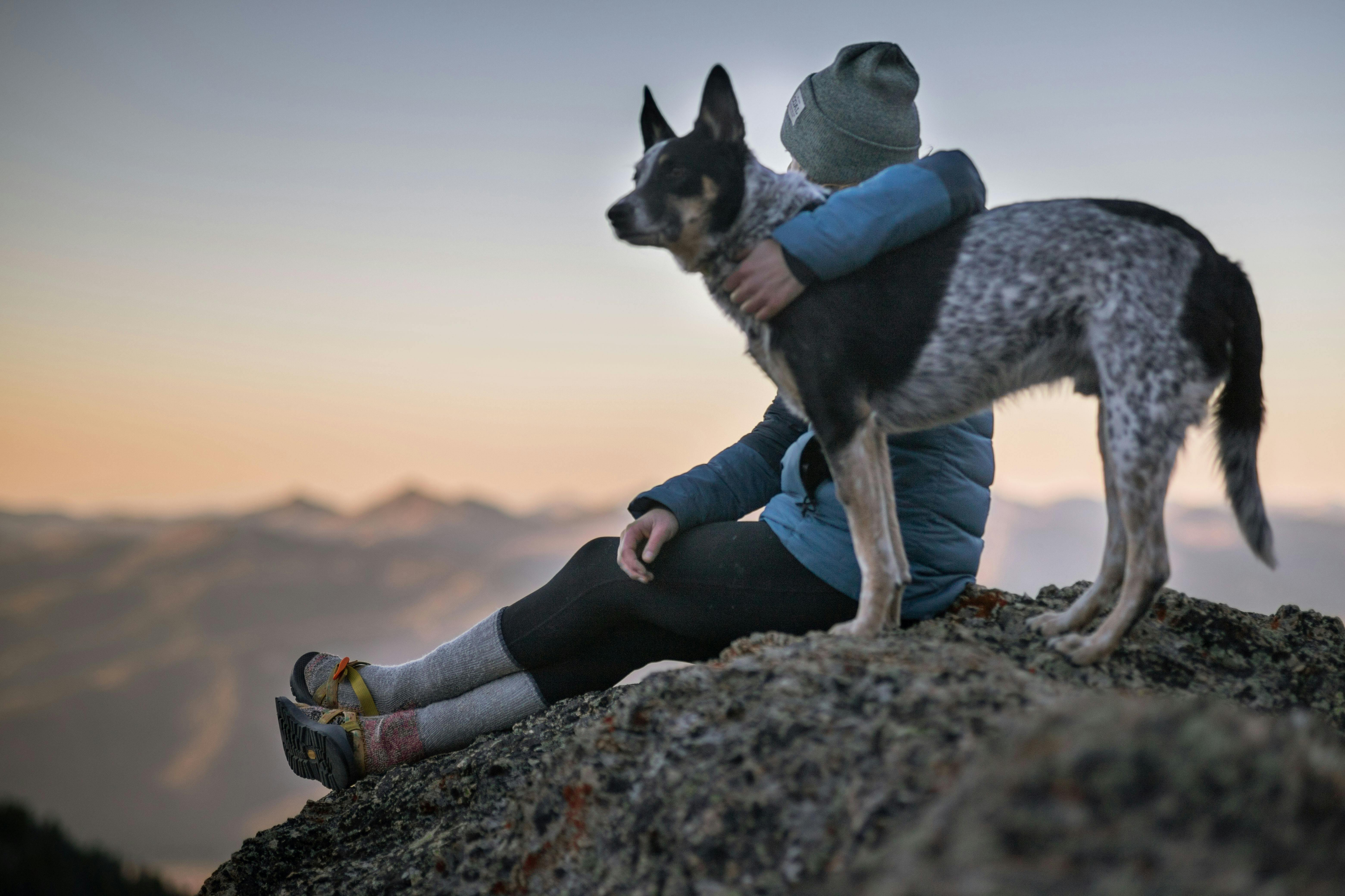 All-Natural Grain-Free Pet Treats - What Makes Maiden Montana Pet Treats Different
