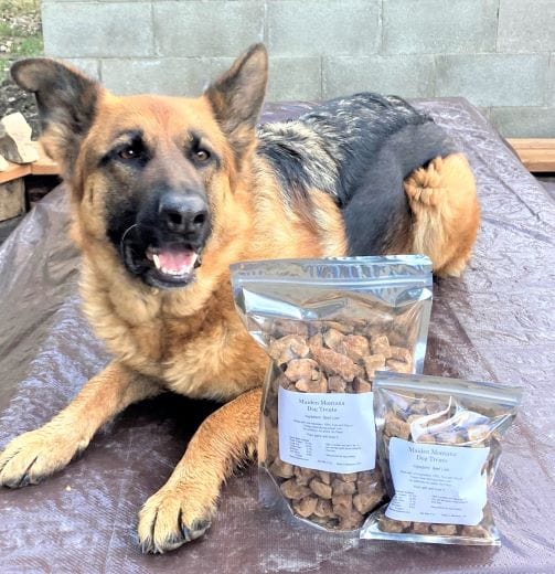 Abbey sitting on table with a bag of 12 oz and a bag of 4 oz Maiden Montana Dog Treats