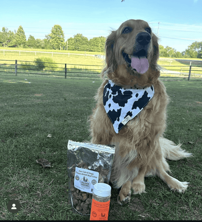 Freeze Dried Beef Liver Treats |  Maiden Montana Pet Treats