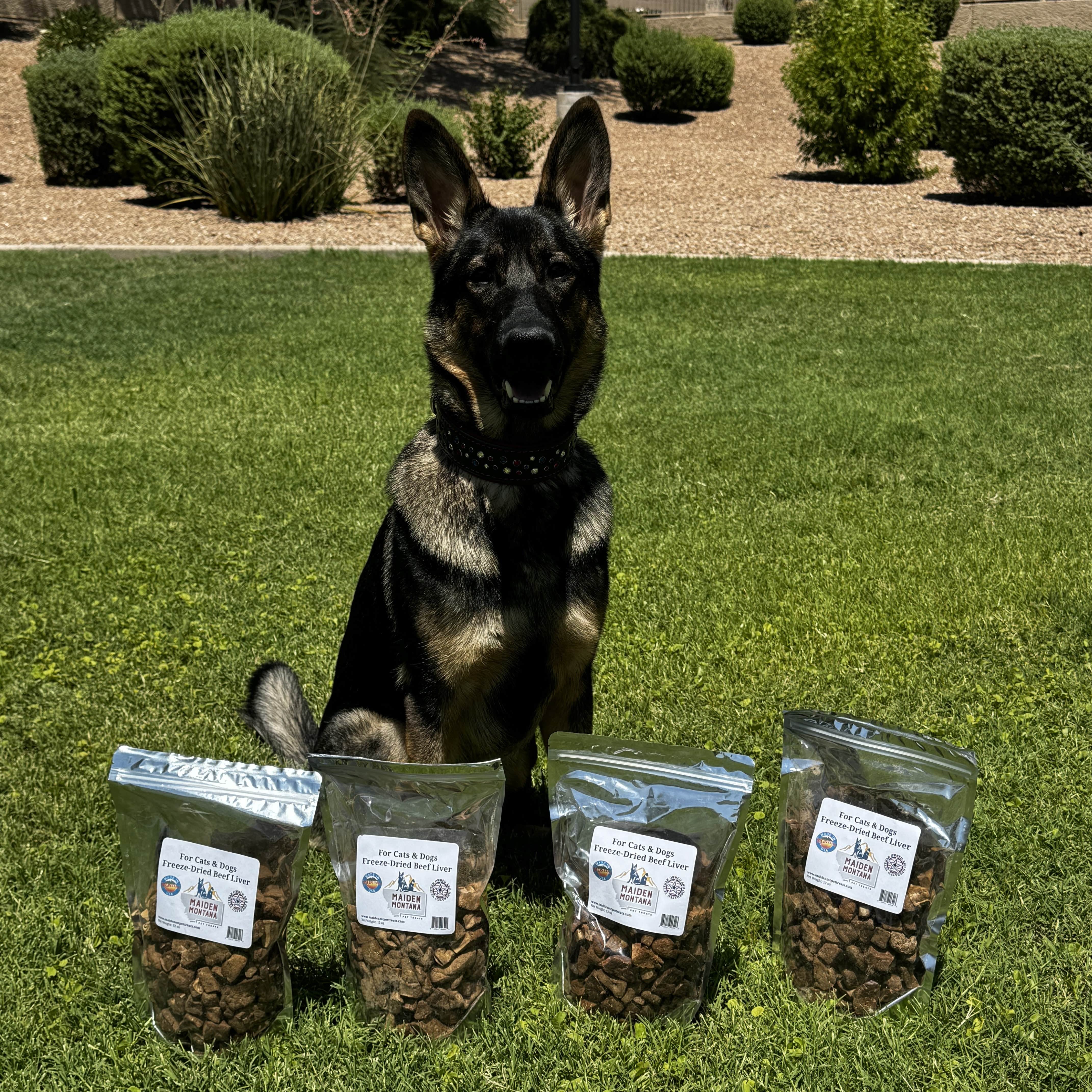 Freeze Dried Beef Liver Treats | 12oz. Maiden Montana Pet Treats