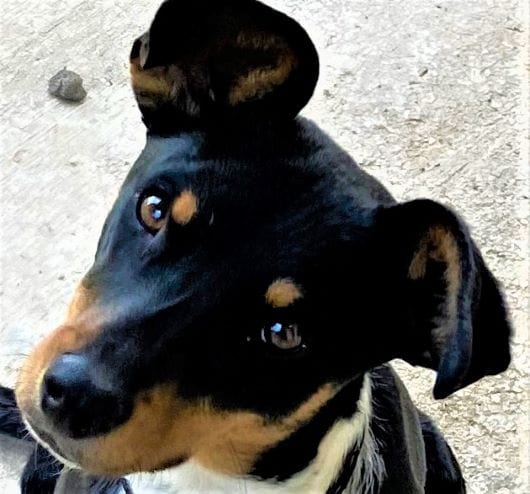 Tex Training Session #2